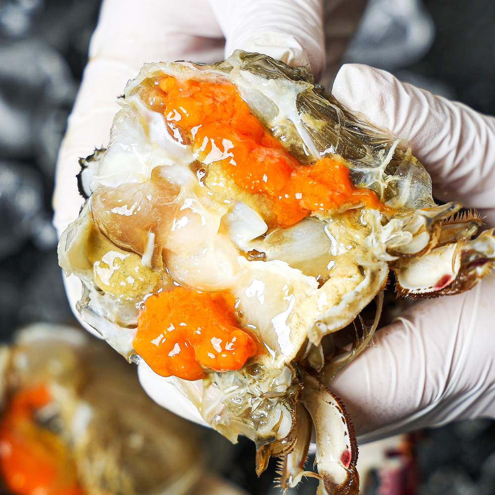 연평도 꽃게 제철 급냉 생물 활 암숫꽃게 1kg