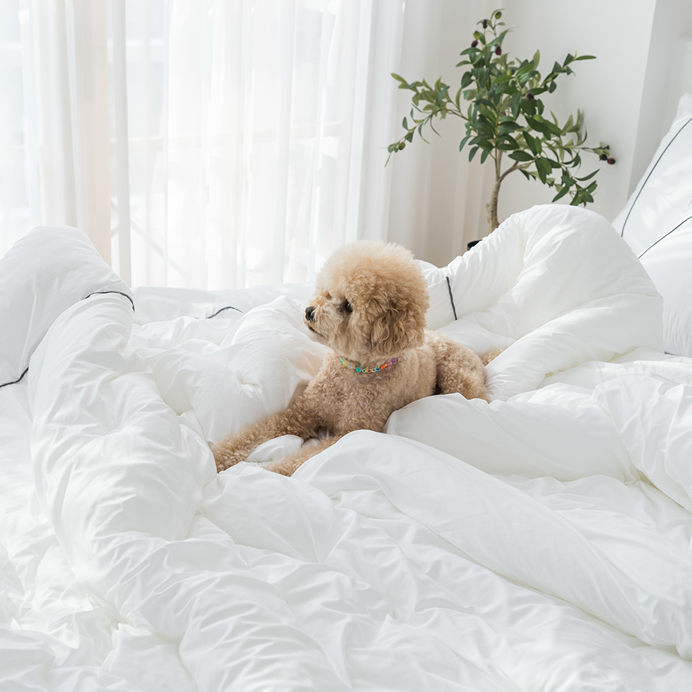 알러지케어이불 고양이털 옥수수솜 호텔 차렵이불