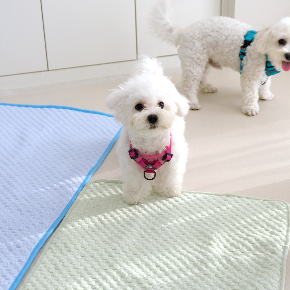 나마스펫 강아지 고양이 썸머 쿨매트 애견 여름 매트 방석 - 상품 이미지