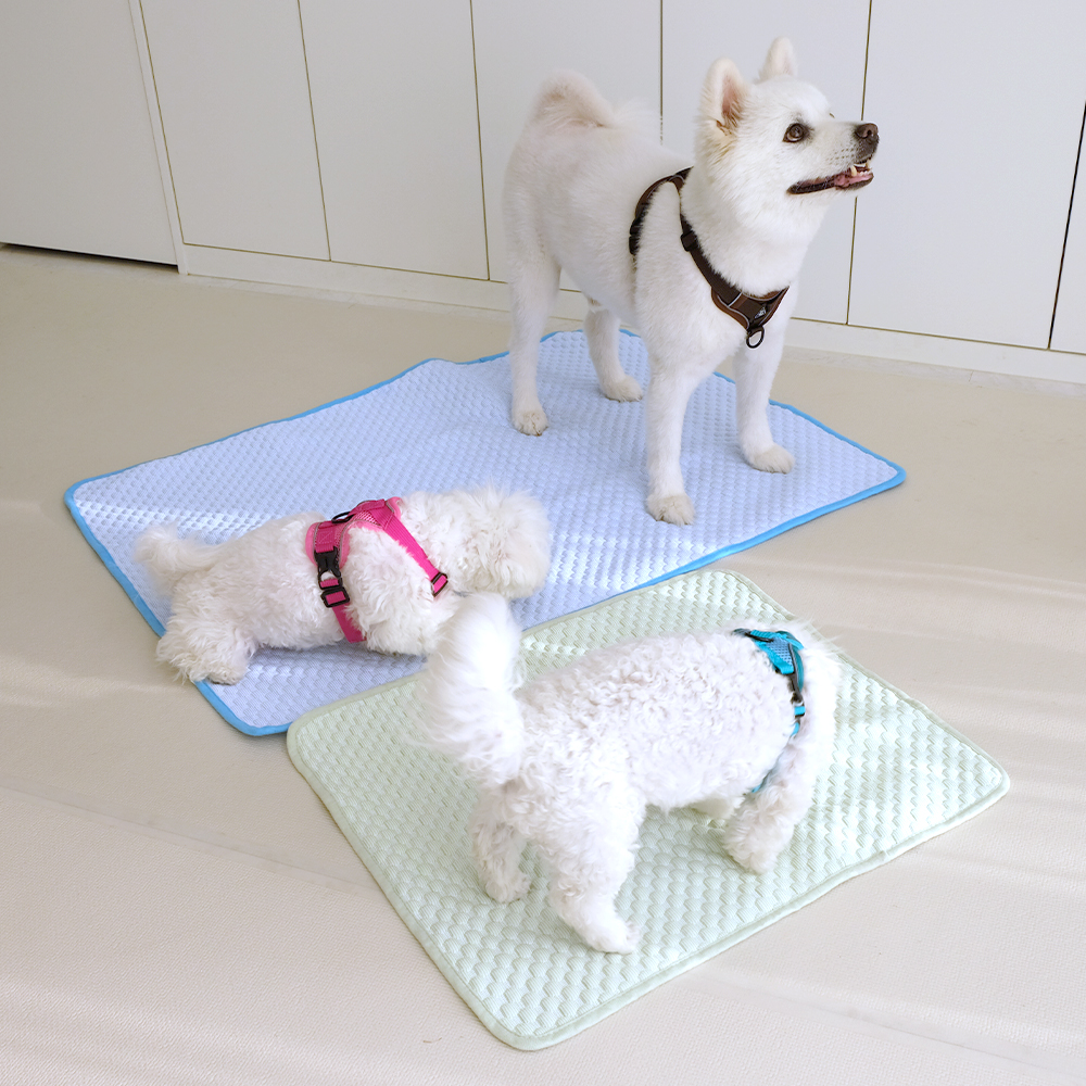 나마스펫 강아지 고양이 썸머 쿨매트 애견 여름 매트 방석 - 상세 이미지 2