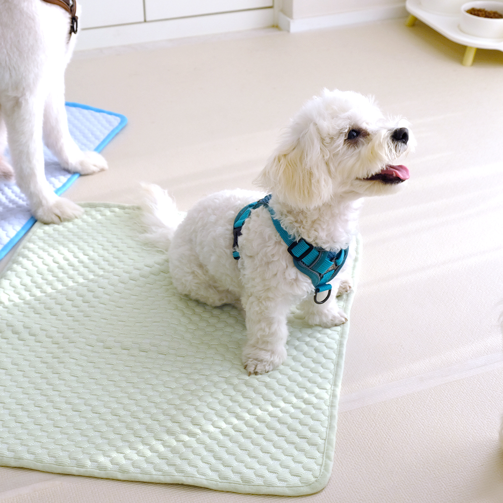나마스펫 강아지 고양이 썸머 쿨매트 애견 여름 매트 방석 이미지 7