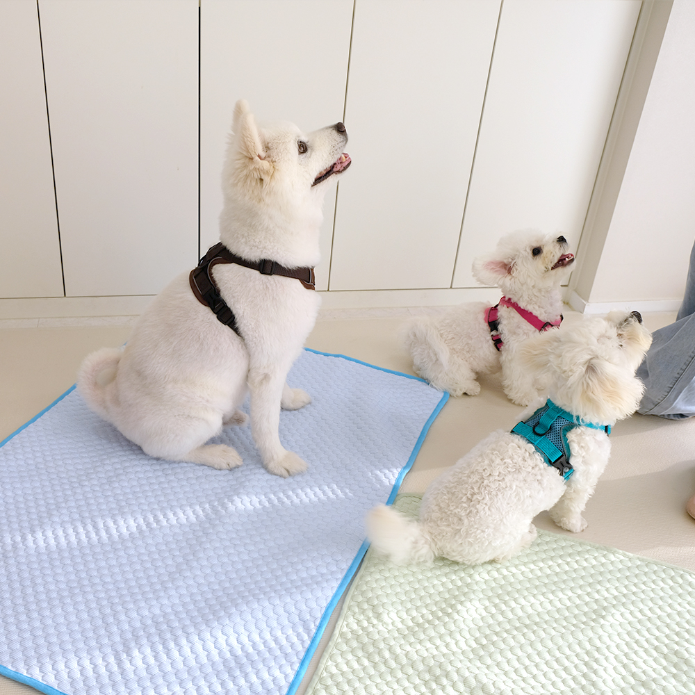 나마스펫 강아지 고양이 썸머 쿨매트 애견 여름 매트 방석 - 상세 이미지 3