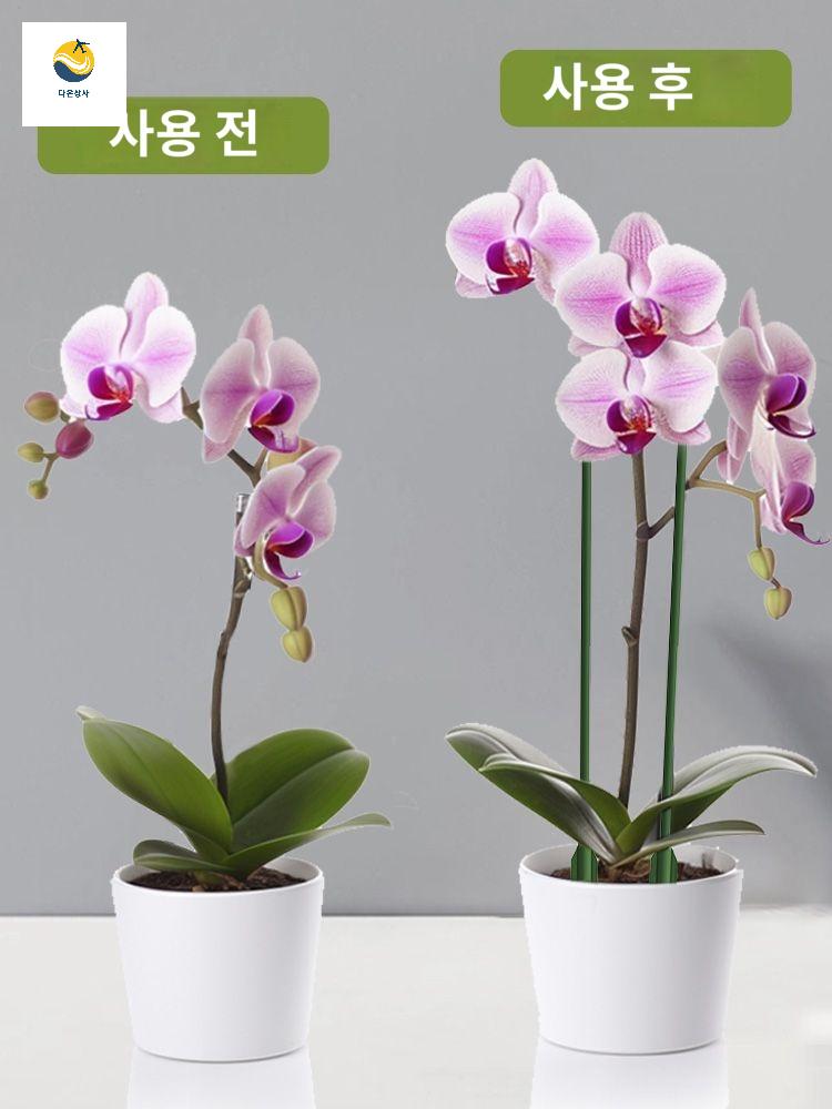분재 꽃 호접란 화분 스템 거치대 단일 스탠드 관목 정원 난초 막대 지지대 말뚝 다육 - 상세 이미지 4