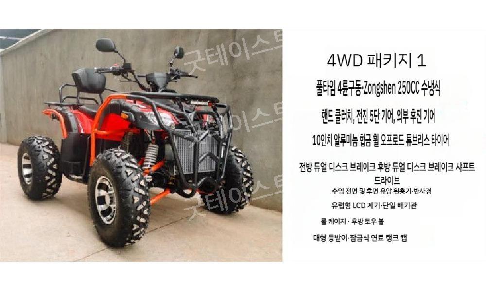 사륜 구동 오토바이 ATV 사륜바이크 250cc/300/350 모든 지형 산악 자전거 이미지 6