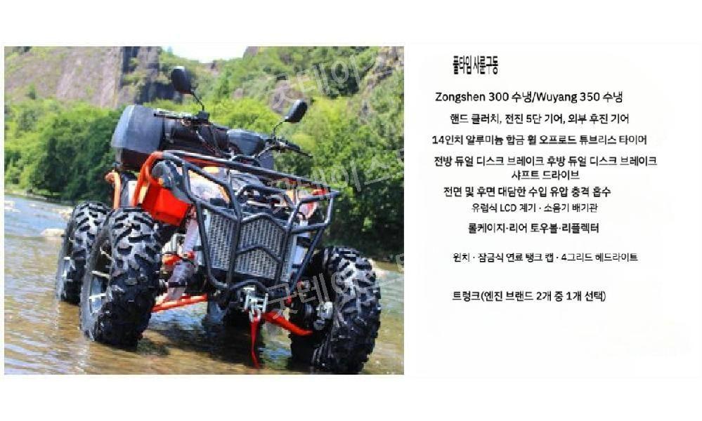 사륜 구동 오토바이 ATV 사륜바이크 250cc/300/350 모든 지형 산악 자전거 - 상세 이미지 2