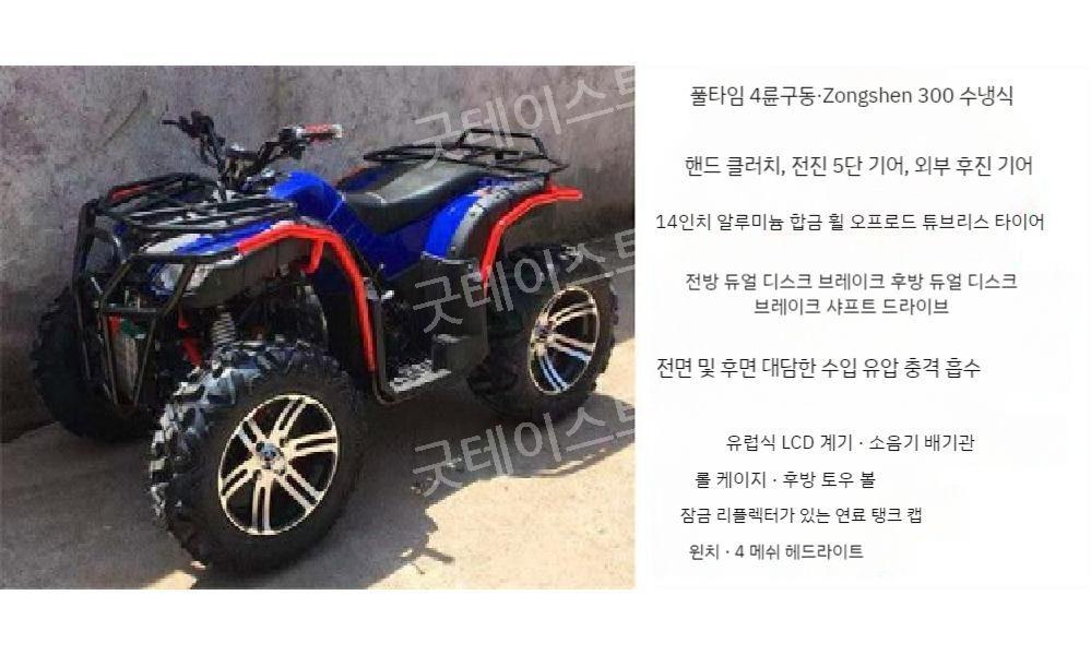 사륜 구동 오토바이 ATV 사륜바이크 250cc/300/350 모든 지형 산악 자전거 - 상세 이미지 3