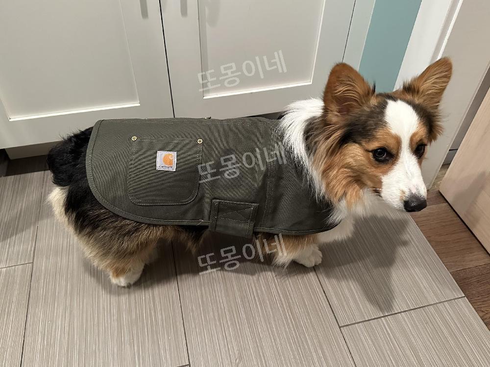 칼하트 강아지 옷 패딩 방수 코드 Carhartt - 상세 이미지 5