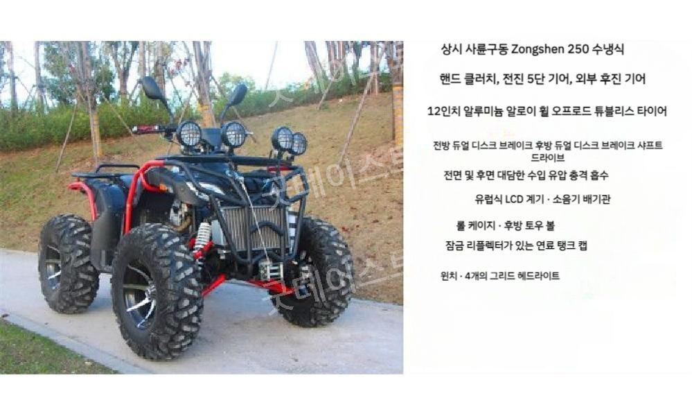 사륜 구동 오토바이 ATV 사륜바이크 250cc/300/350 모든 지형 산악 자전거 - 상세 이미지 5
