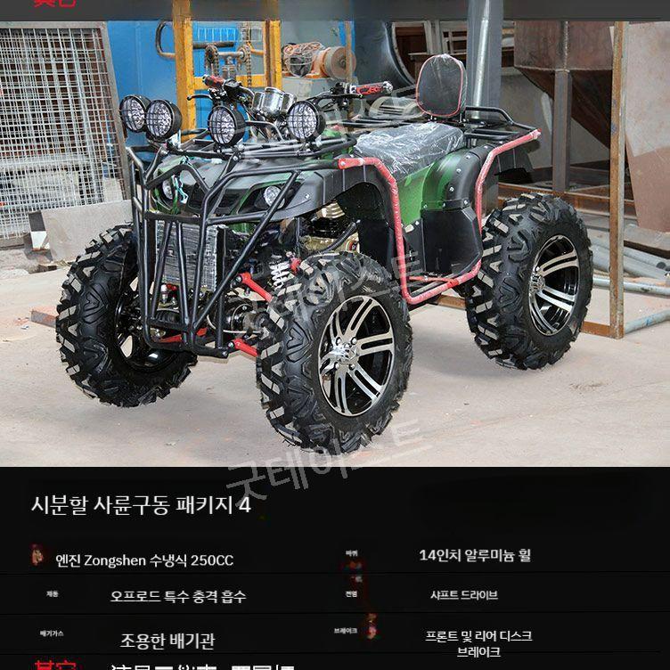 ATV 산악 오토바이 바이크 4륜 구동 가솔린 모든지형 250/300cc - 상세 이미지 4