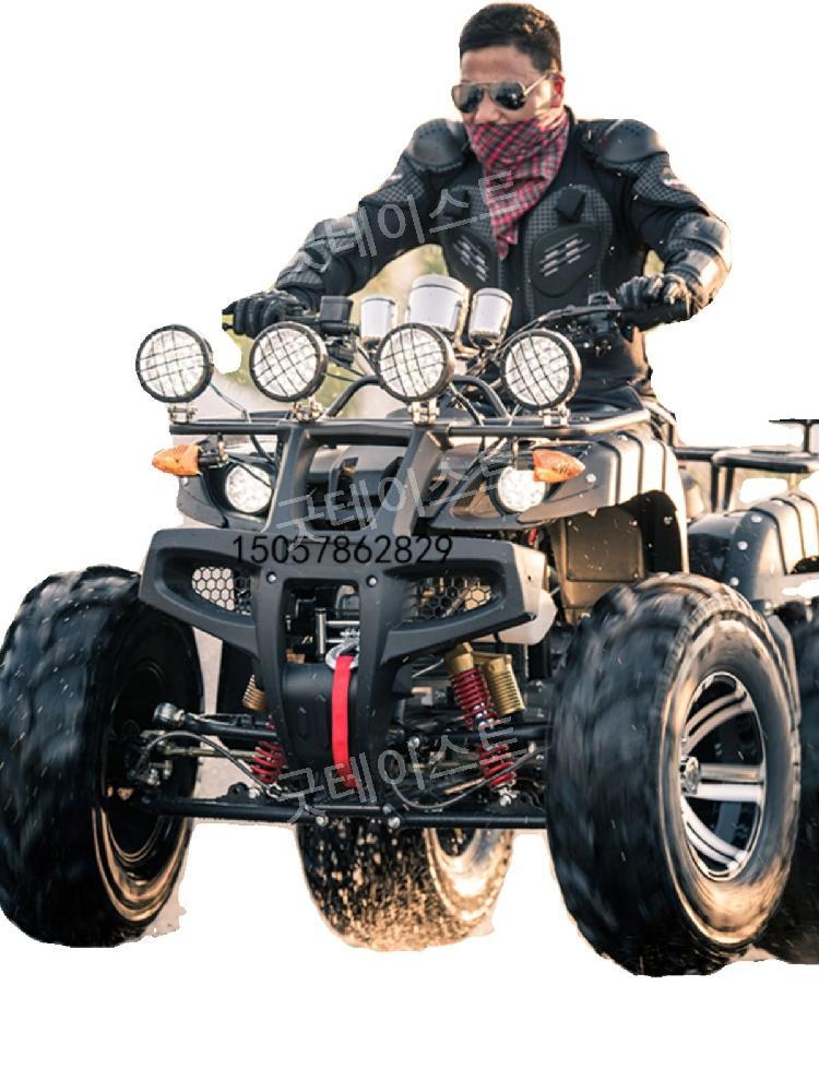 ATV 산악 오토바이 바이크 4륜 구동 가솔린 모든지형 250/300cc 이미지 7