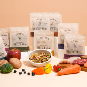 도그다이닝 강아지 화식 (100g x 10팩)닭 외 7종 자유선택가능 수... 솔직 후기 | 실제 사용자 리뷰 총정리 - 상품 이미지 3