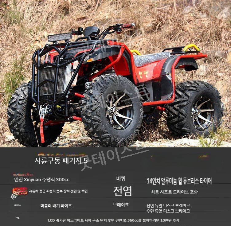 ATV 산악 오토바이 바이크 4륜 구동 가솔린 모든지형 250/300cc - 상세 이미지 3
