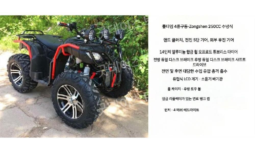 사륜 구동 오토바이 ATV 사륜바이크 250cc/300/350 모든 지형 산악 자전거 - 상세 이미지 4