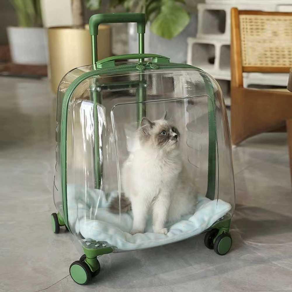 강아지 투명 캐리어 이동가방 이동장 고양이 캐리어 - 상세 이미지 5