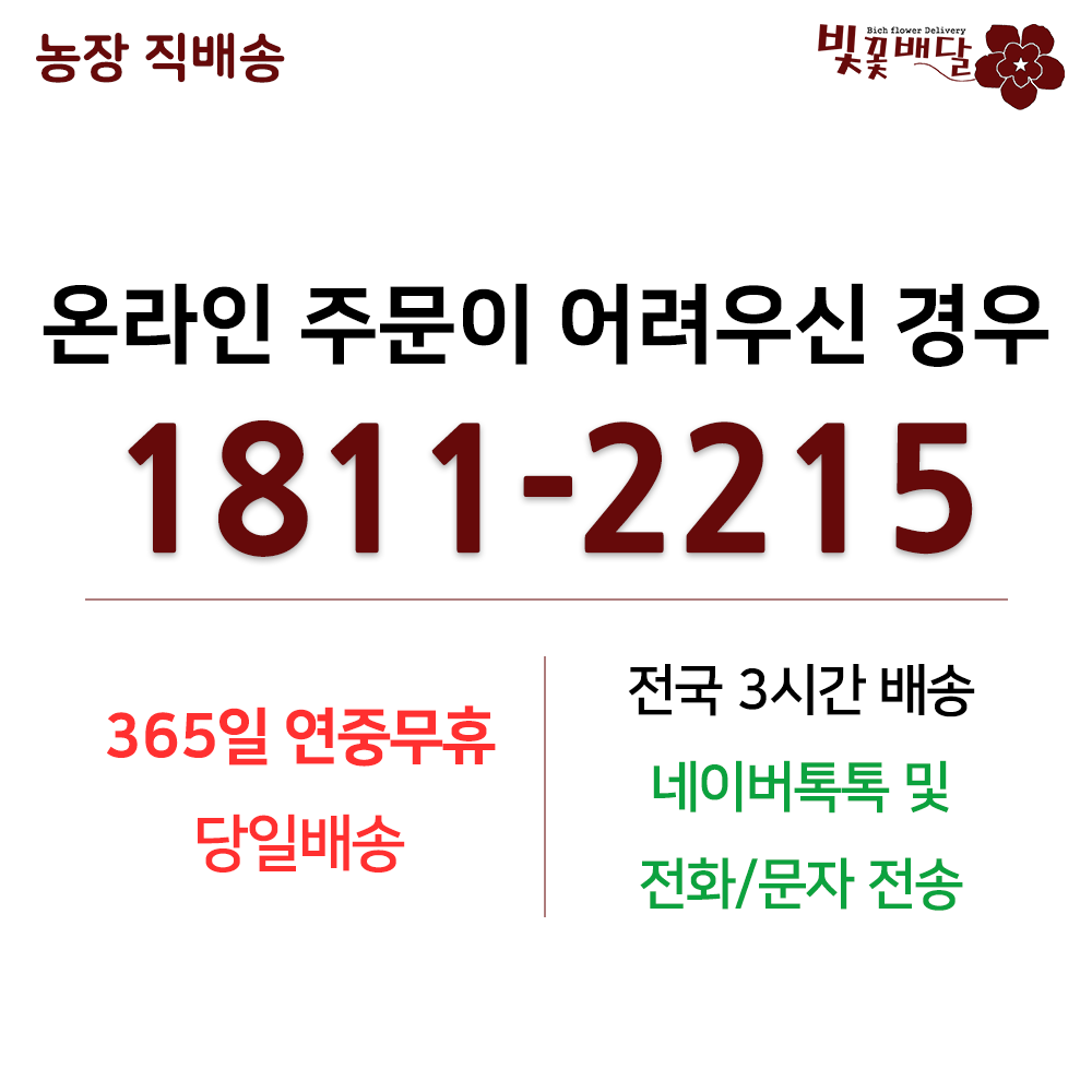 화환 근조화환 장례 축하 개업 화분 전국당일배송 - 상세 이미지 2