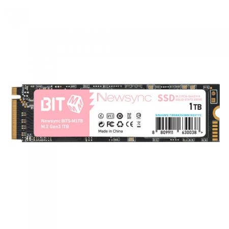 비트엠 Newsync BITS M.2 NVMe (1TB) / MPS
