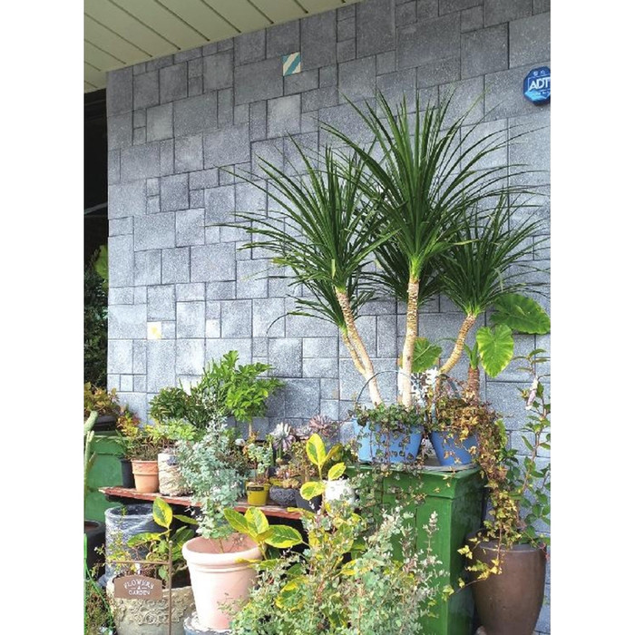 모노타일 모자이크타일 혼합사이즈 그레이 / 하다건재