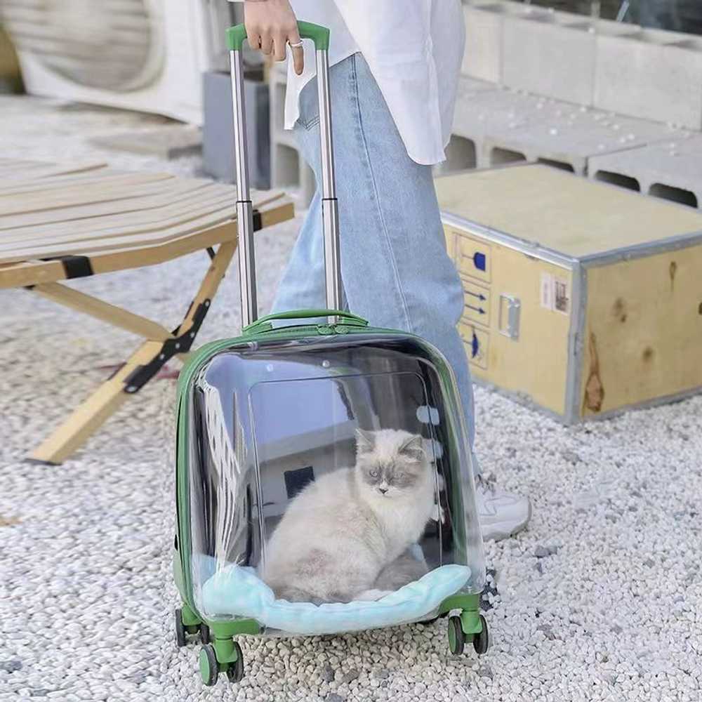 강아지 투명 캐리어 이동가방 이동장 고양이 캐리어 - 상세 이미지 4