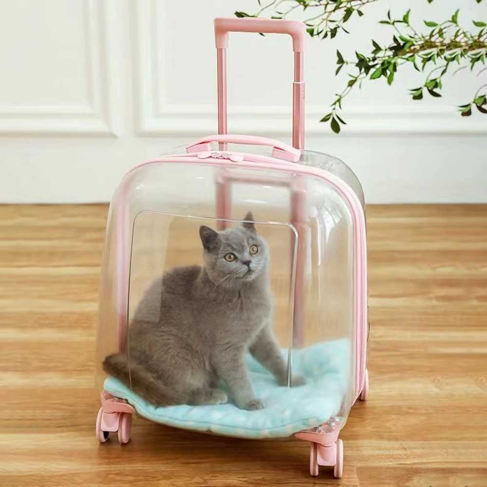 강아지 투명 캐리어 이동가방 이동장 고양이 캐리어 - 상세 이미지 3