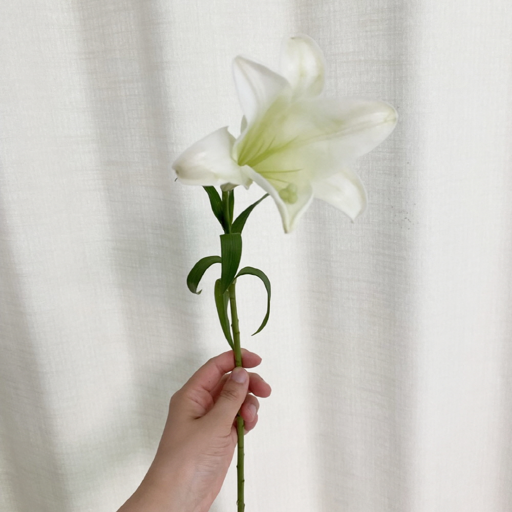 우리타워 백합 3대 백합꽃 꽃배달 싼곳 생화 택배 이미지 7