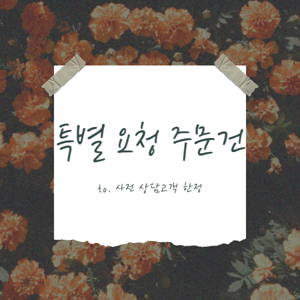 [사전 상담 예약 고객 전용] 고객센터 상담 완료 후 주문 가능 - 상품 이미지