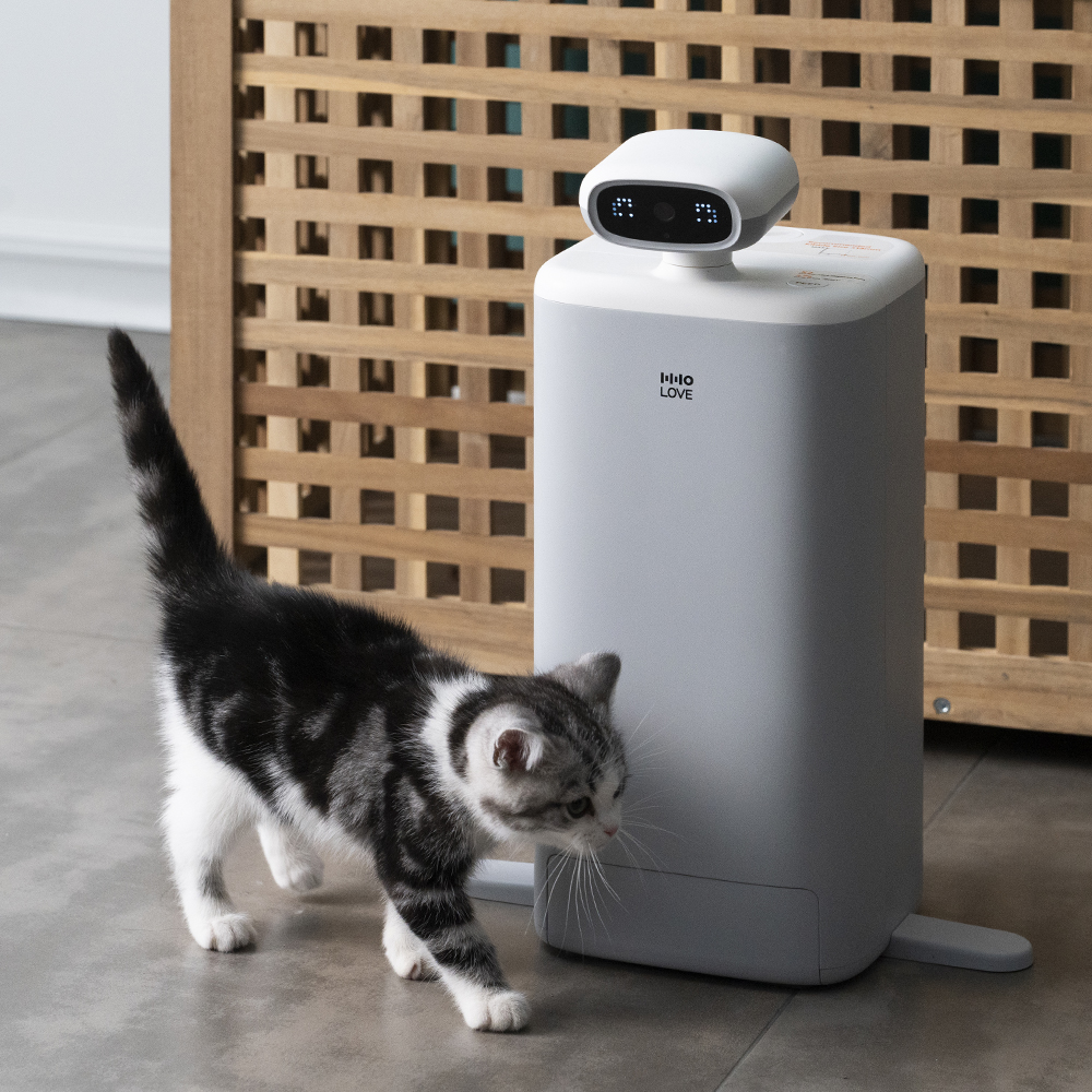 펫쭈 고양이 AI 자동급식기 강아지 360도 회전 카메라 반려동물 펫