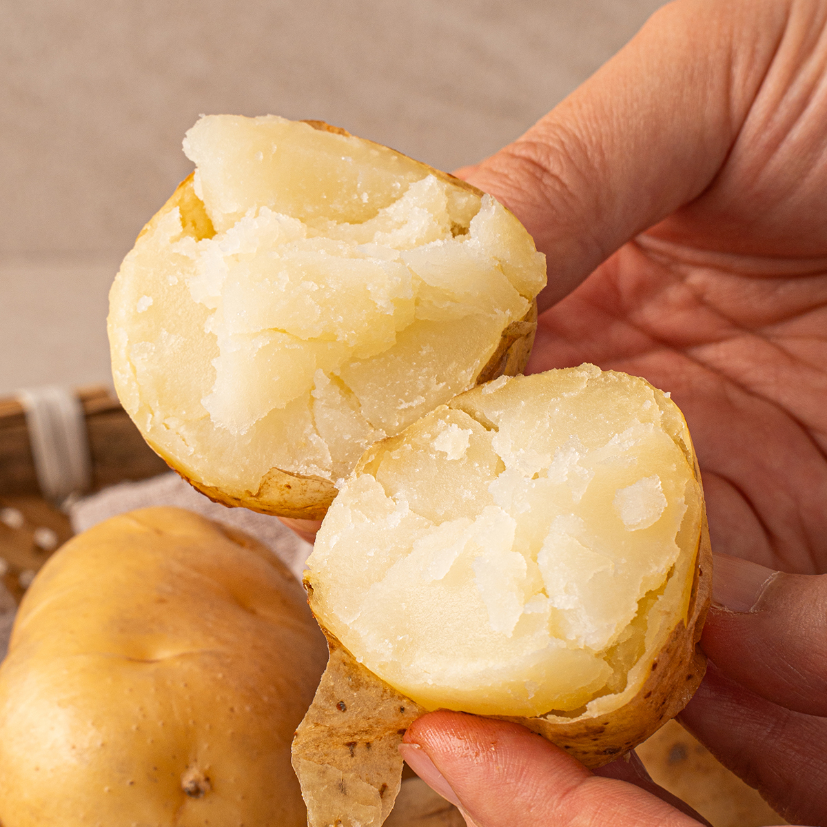 제철 국내산 경남 창원 햇 감자 두백 2kg 3kg 5kg