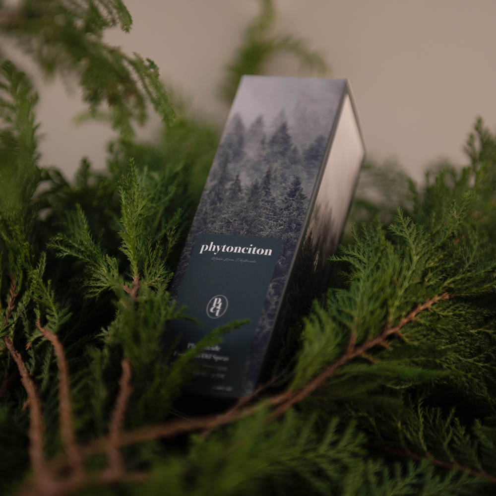 [프리미엄 오일] 피톤치드 편백수 집먼지진드기 퇴치 베이크아웃 새집증후군 제거 2L