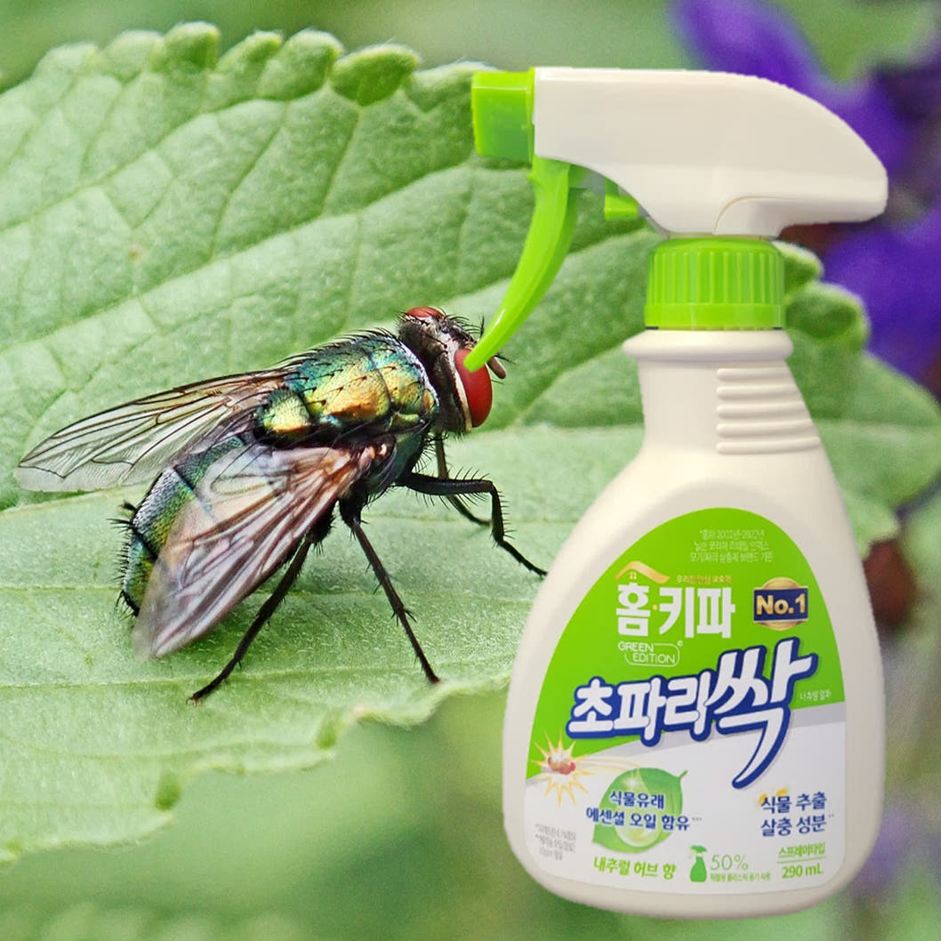 컬러포 홈키파 초파리싹 290ml 천연 살충제