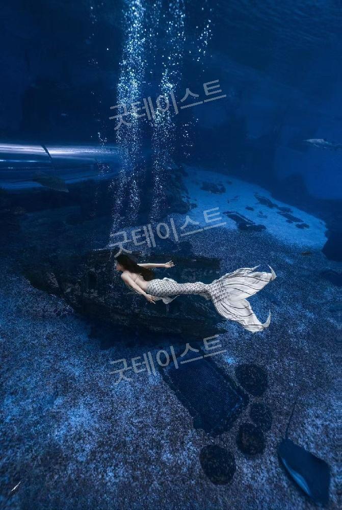 머메이드 다이빙 대회 공연복 아웃핏 인어공주 아쿠아리움 프리다이빙 빅테일 맞춤가능 - 상세 이미지 2