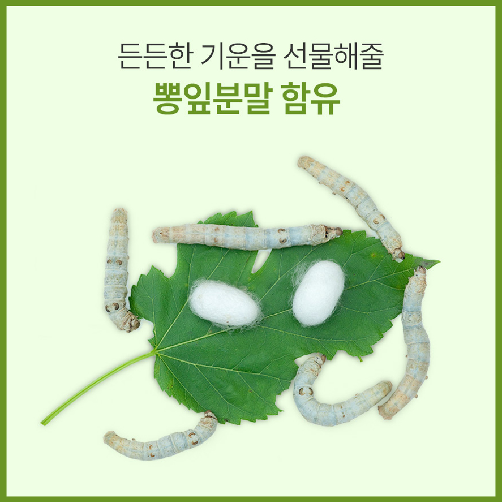 [런칭 특가] 와사비 잎 추출물 락토페린 S 정 식약처 HACCP 인증 60정 - 상세 이미지 4