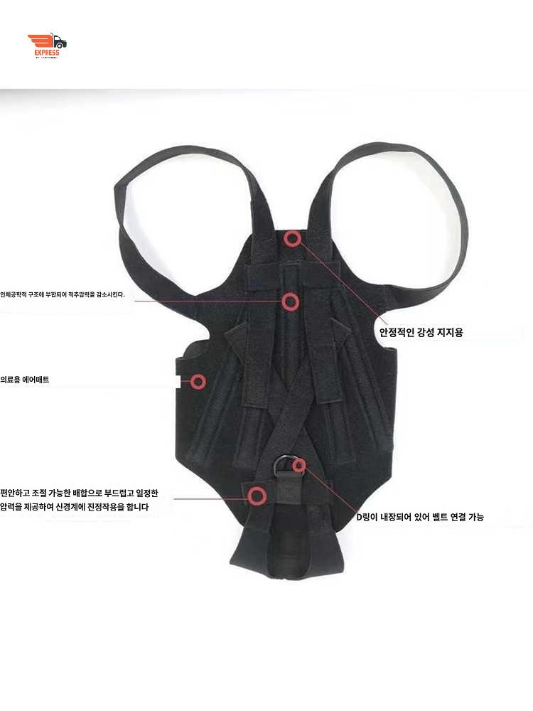 반려견척추보조기 보행기 허리보호대 강아지 장애 - 상세 이미지 4