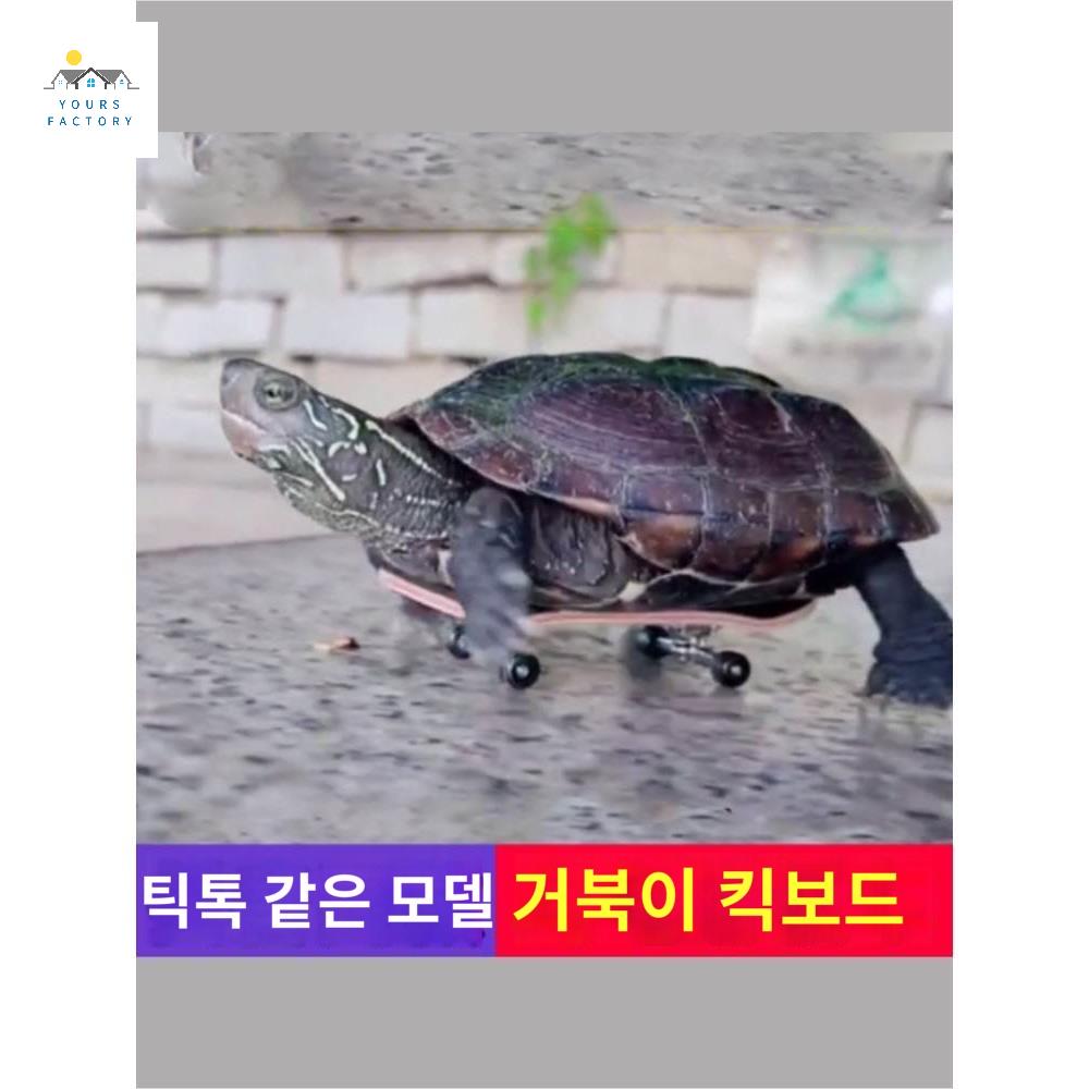 바다 닌자 미끄럼 스케이트보드 스케이트 롱보드 거북이 - 상품 이미지