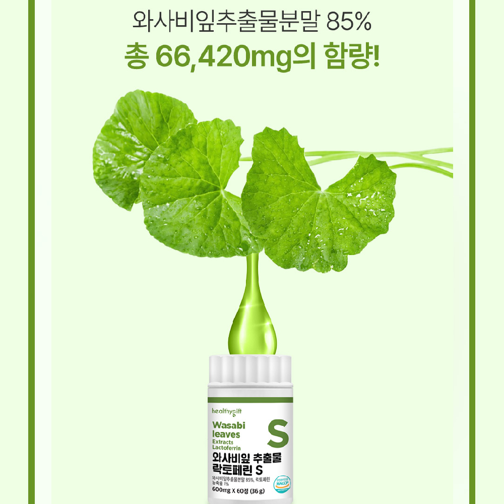 [런칭 특가] 와사비 잎 추출물 락토페린 S 정 식약처 HACCP 인증 60정 - 상세 이미지 2