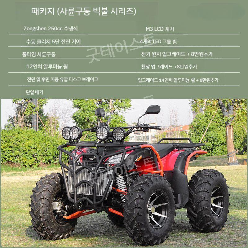 사륜 구동 4륜 오토바이 ATV 바이크 산악 해변 운반 팜트럭 200/250/350cc - 상세 이미지 3
