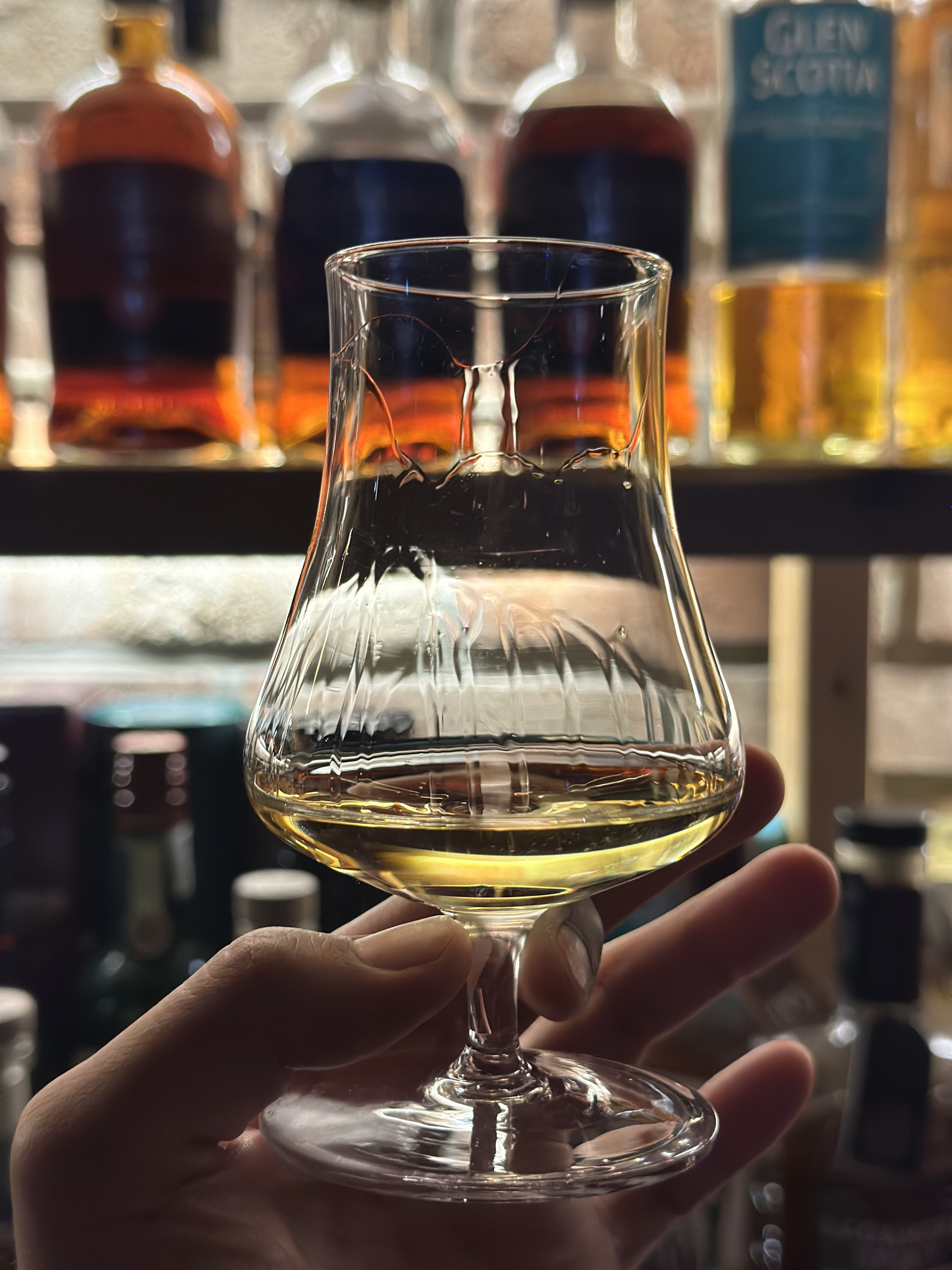 스탠다드 위스키잔 노징글라스 싱글몰트 니트잔 250ml