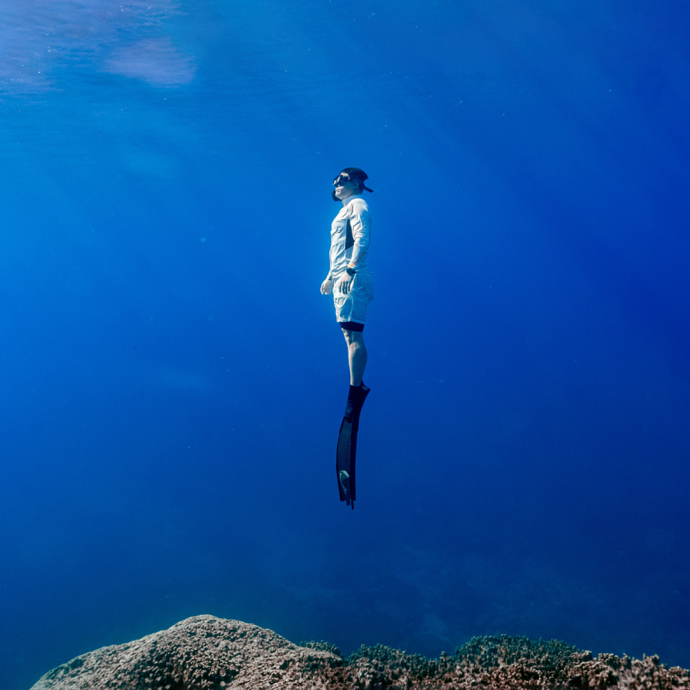 서울 경기 프리다이빙 강습 입문 초급 패키지 교육 AIDA PADI 레벨 1+2 자격증