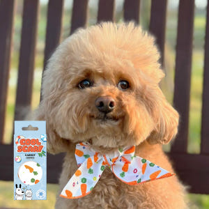 강아지 쿨스카프 여름용품 아이스 케이프 머플러 쁘띠스카프 당근 솔직 후기 | 실제 사용자 리뷰 총정리 - 상품 이미지 1