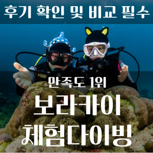 [보라카이 자유여행] 보라카이 스킨스쿠버 체험다이빙 액티비티 솔직 후기 | 실사용자 리뷰 분석 - 상품 이미지 1