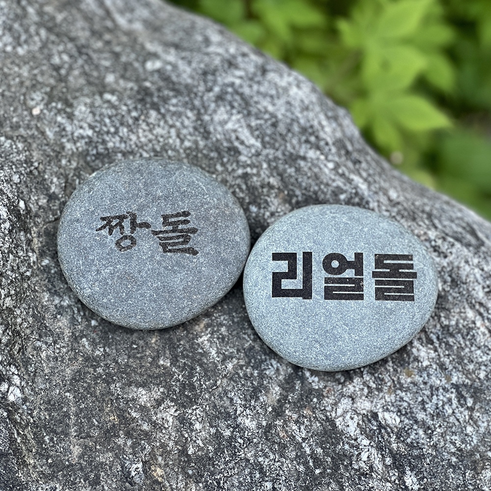 쓸데없는 반려돌 애완돌 웃긴 선물 짱돌 & 리얼 쓸모없는 돌 인싸템 특이 한 생일 펫스톤 돌 키우기 - 상품 이미지