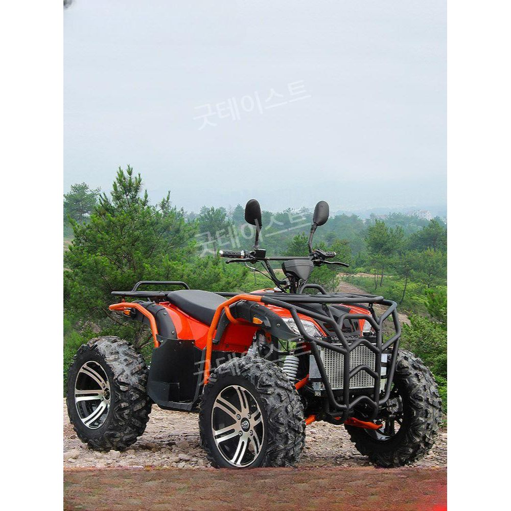 사륜 구동 4륜 오토바이 ATV 바이크 산악 해변 운반 팜트럭 200/250/350cc - 상품 이미지
