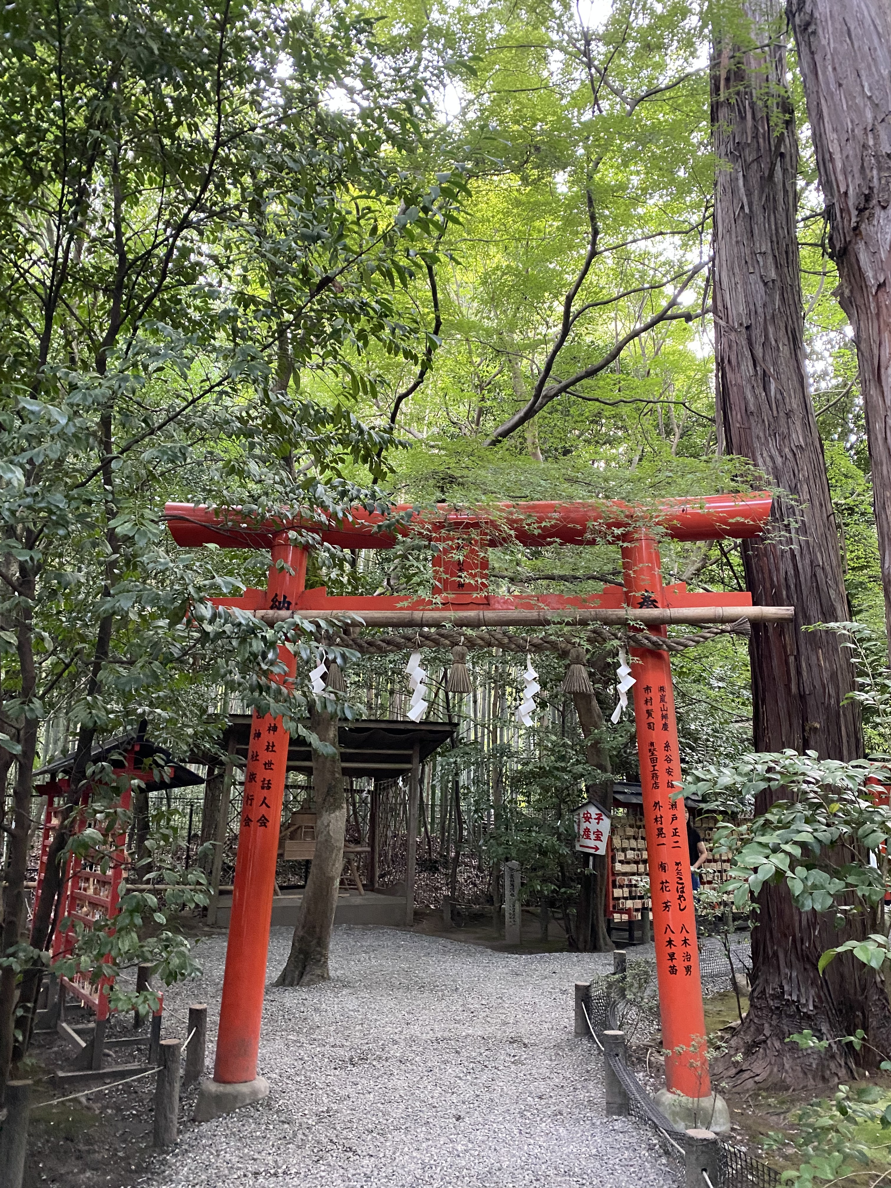 [즉시확정] 오사카 교토 청수사 금각사 아라시야마 일일 버스투어 엔데이트립