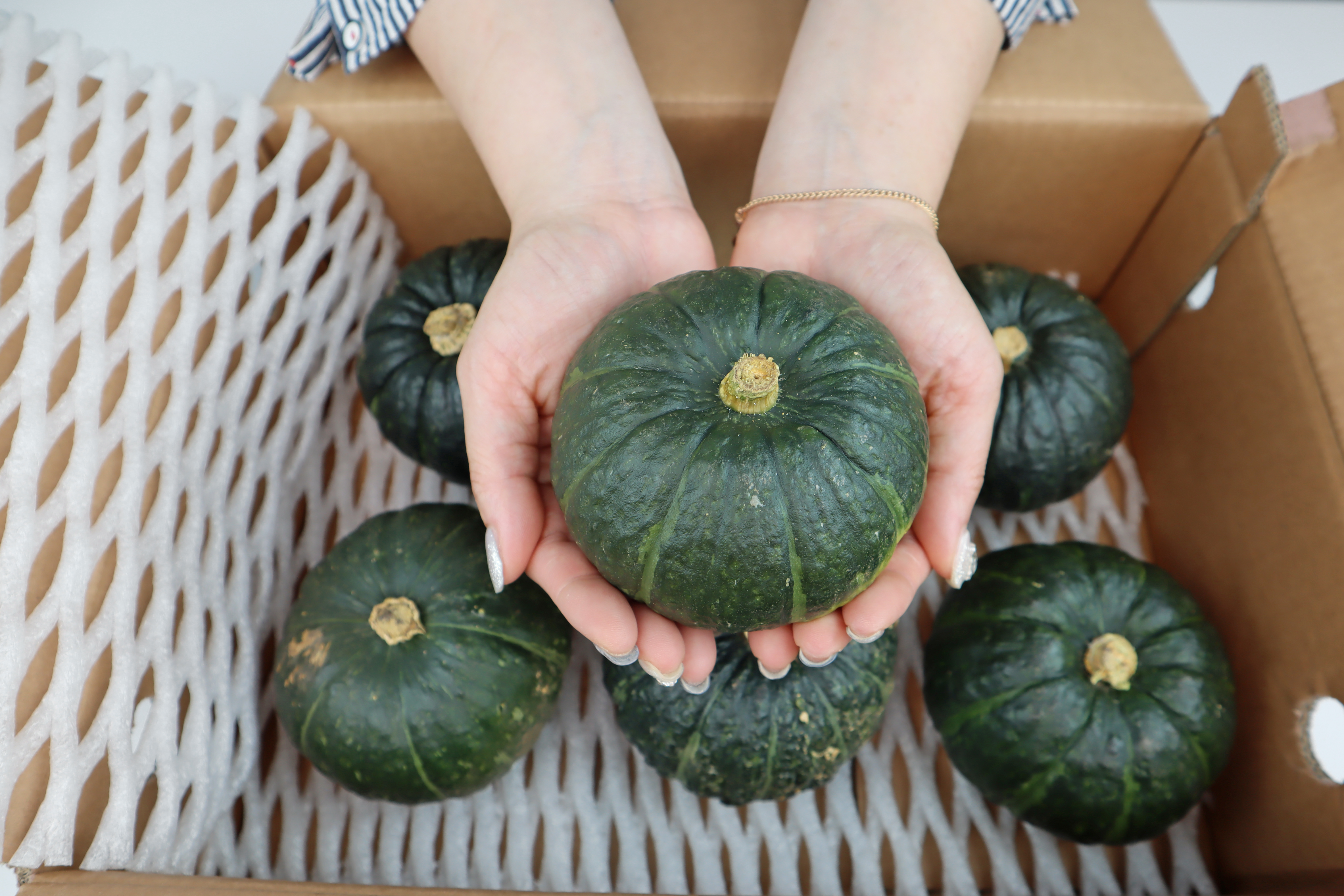 26년 국내산 제주 보우짱 미니 단호박 밤호박 1kg - 상세 이미지 2