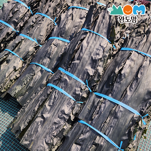 25년 완도 햇 건다시마 육수용다시마 자연건조 500g 최상급