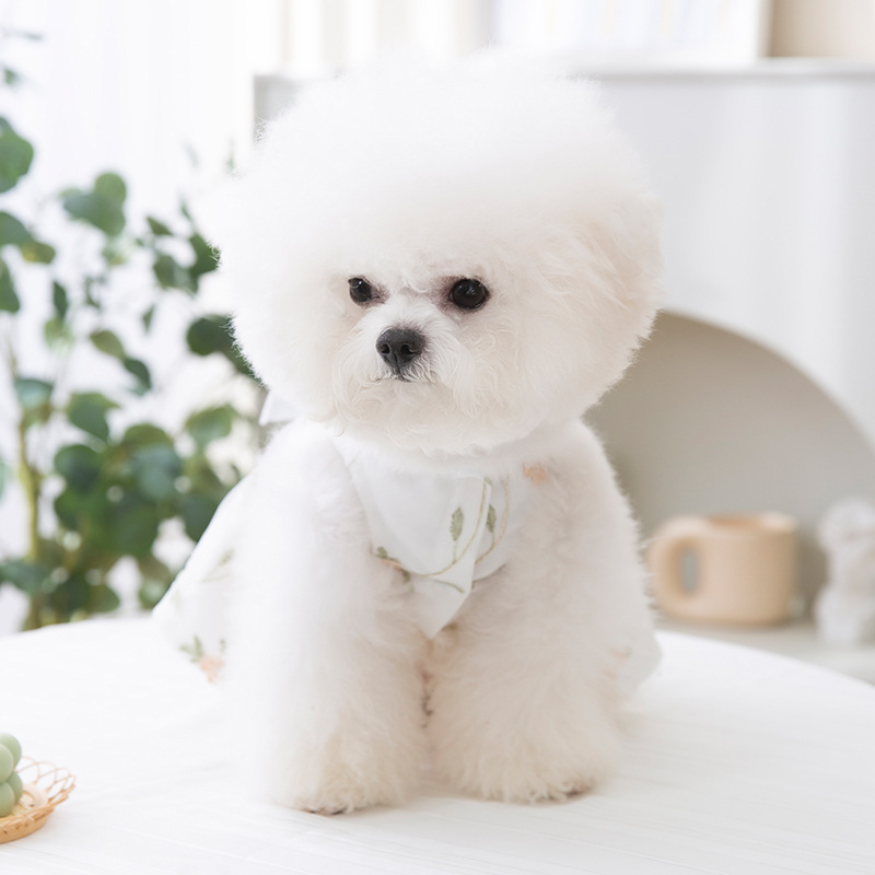 작은 강아지 봄여름 통기성 레이스와 꽃무늬 이중 레이어 공주 드레스 고양이 테디 중소형견 강아지옷 - 상세 이미지 4