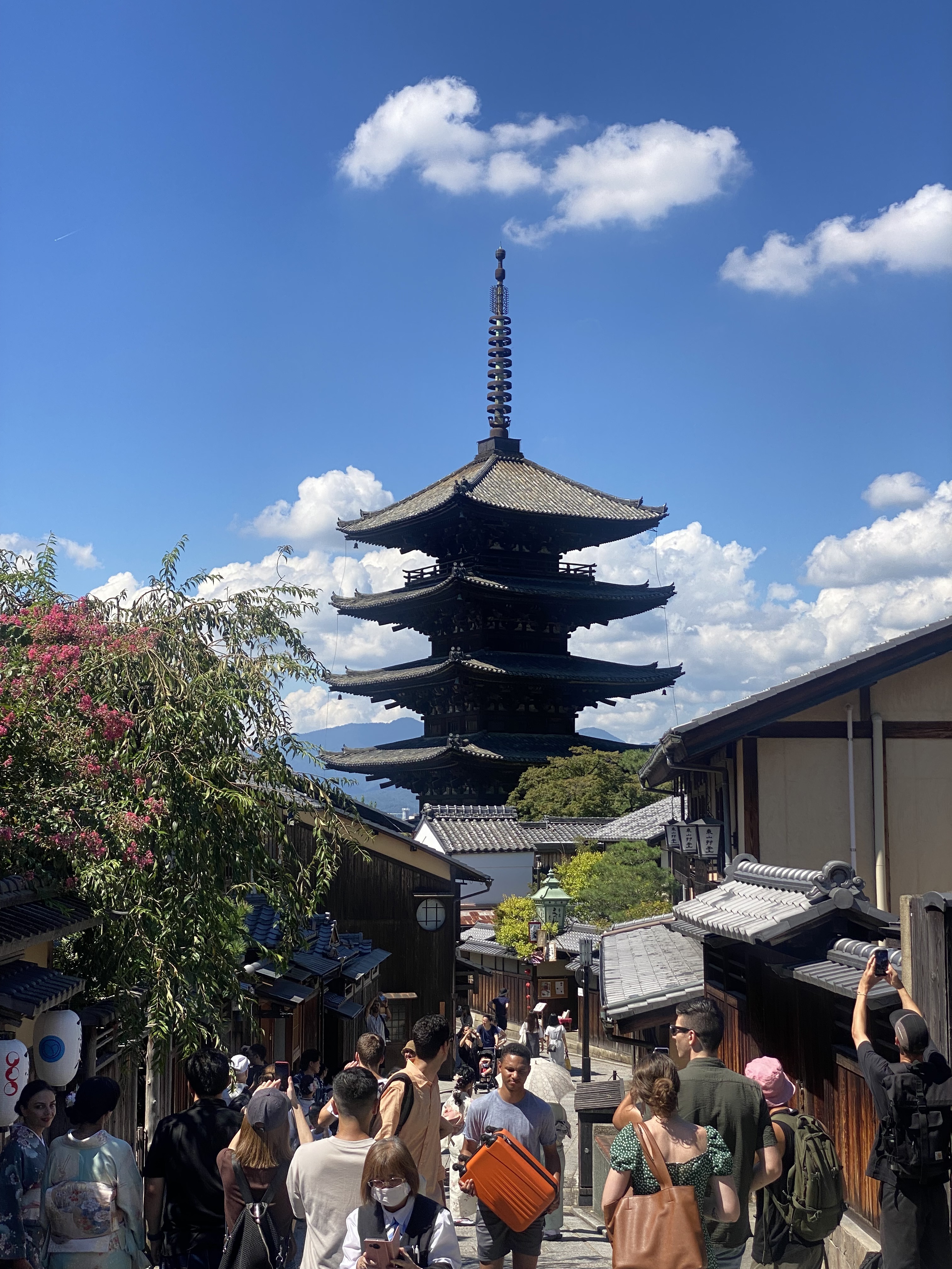 [즉시확정] 오사카 교토 청수사 금각사 아라시야마 일일 버스투어 엔데이트립