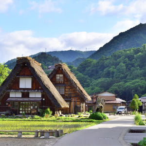 [명물간식특전] 나고야 다카야마 시라카와고 버스투어 히다규카레빵 특전 솔직 후기 | 실사용자 리뷰 분석 - 상품 이미지 3