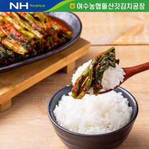 여수 돌산 갓김치 전라도식 국내산 김치 2kg 맛있게 먹은 솔직 후기 - 상품 이미지 4
