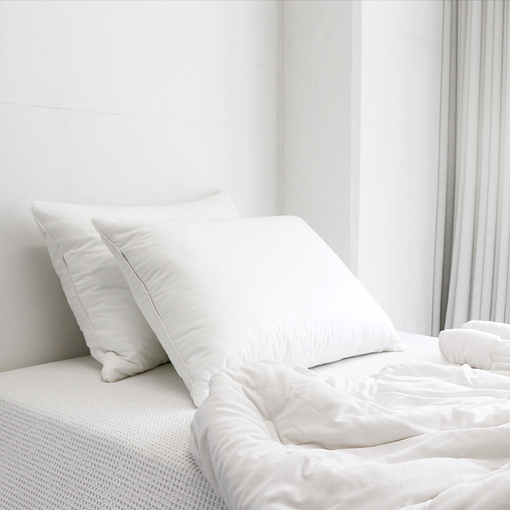 1+1 피넛버터젤리 빨아쓰는 호텔식 저데니아 향균 베개솜 50x70 마이크로화이바 통세탁