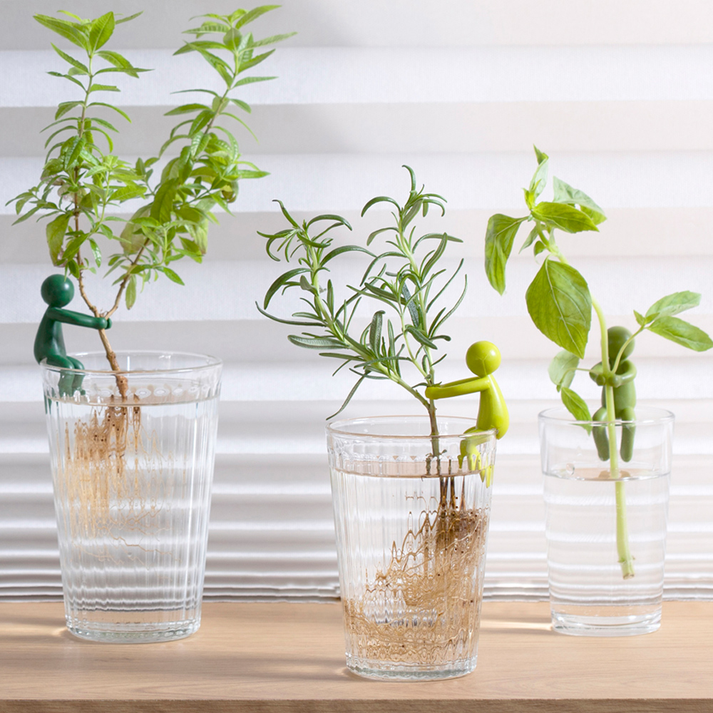 리프렌드 식물지지대 화초 몬스테라 꽃 지지대 수경재배 지지대 제품 이미지